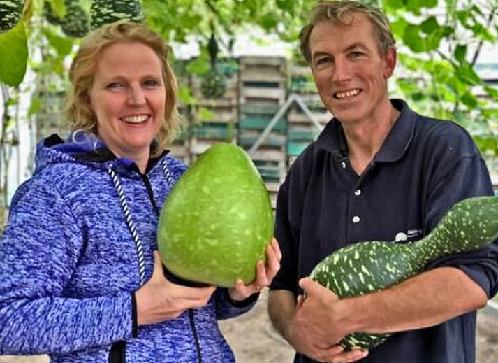 Uitzicht vanuit de woonkamer van Huisje in Warmenhuizen, vakantiehuis in Noord-Holland, met terras en groene velden.