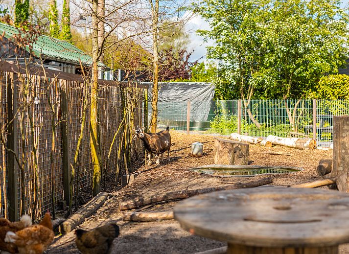 Unterkunft 454924 - Ferienhaus Noordzeekust - EuroParcs Spaarnwoude