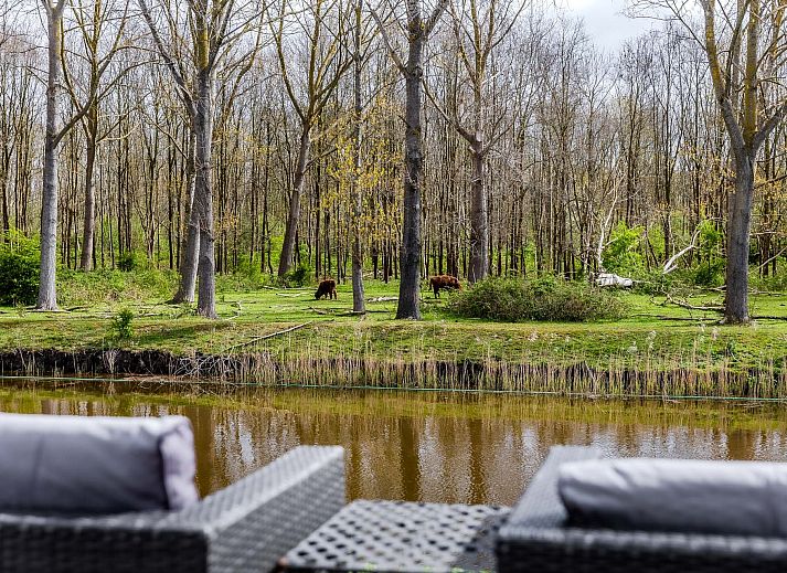 Verblijf 454926 - Vakantiewoning Noordzeekust - Vrijstaande woning in Halfweg