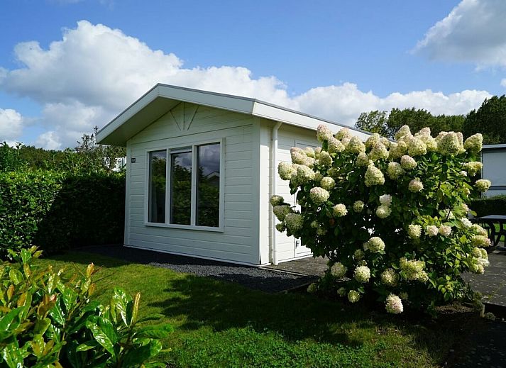 Unterkunft 454931 - Ferienhaus Noordzeekust - 782061
