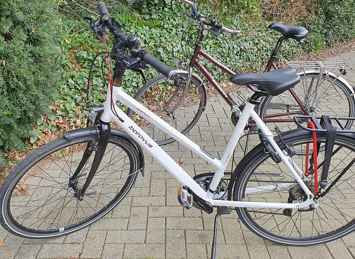 Gezellige woonkamer in Casa Allegria, Bergen, met moderne meubels en veel natuurlijk licht voor ultieme ontspanning.