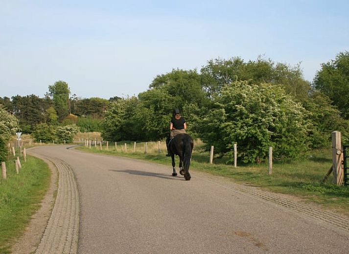 Stylish interior of vacation home in Noord Bakkum - Castricum, with modern bedroom and bathroom on the North Sea coast in North Holland.