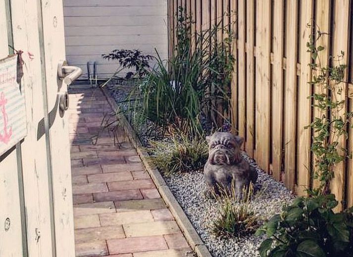 Unterkunft 460108 - Ferienhaus IJsselmeerkust - Vakantiehuis St. Pauli