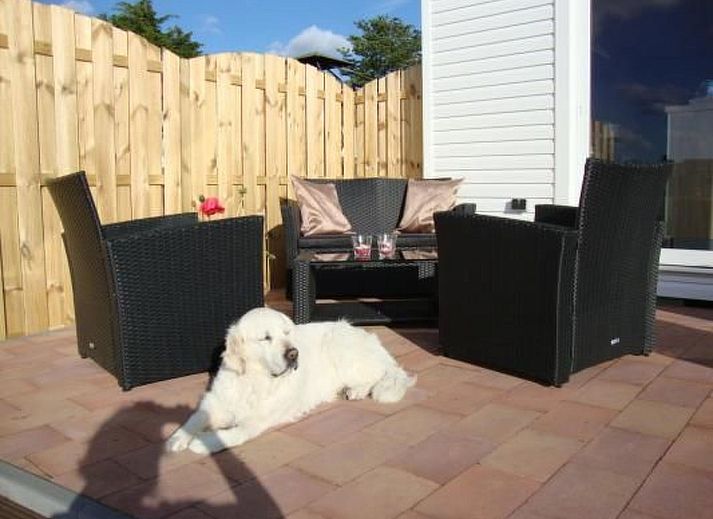 Guest house 460109 - Holiday property IJsselmeerkust - Vakantiehuis Auszeit direkt am Wasser