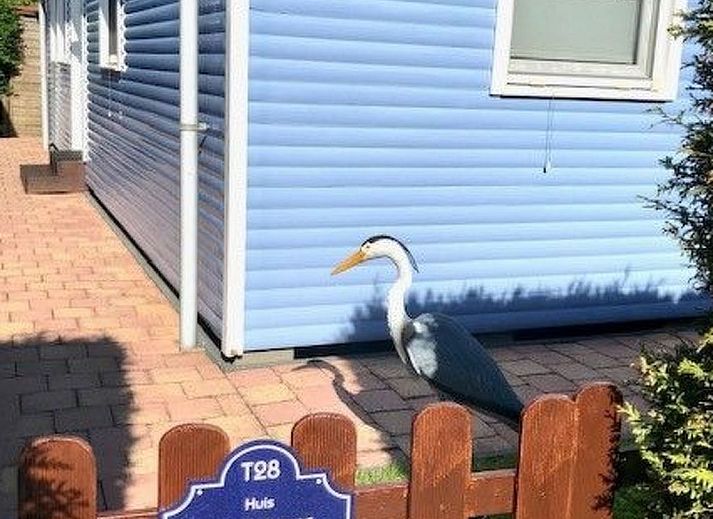 Unterkunft 460121 - Ferienhaus IJsselmeerkust - Vakantiehuis Haus DE BLAUWE REIGER