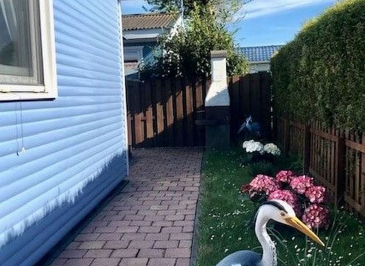 Unterkunft 460121 - Ferienhaus IJsselmeerkust - Vakantiehuis Haus DE BLAUWE REIGER