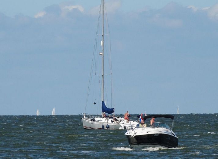 Verblijf 460124 - Vakantiewoning IJsselmeerkust - Vakantiehuis Schmuckes neuwertiges Ferienhaus  auf einer kle
