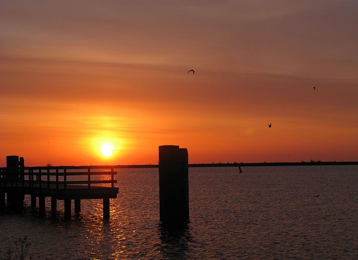 Guest house 460125 - Apartment IJsselmeerkust - Appartement Familienfreundliches Ferienhaus "Angel" mit Gart