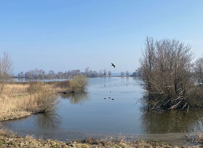 Unterkunft 460127 - Ferienhaus IJsselmeerkust - Vakantiehuis Haus Good Times