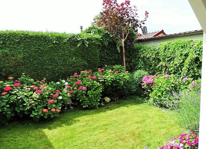 Unterkunft 460137 - Ferienhaus IJsselmeerkust - Vakantiehuis Luna