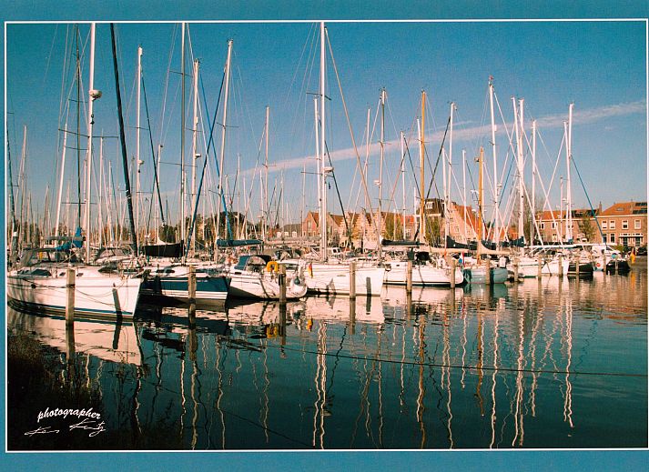 Guest house 460140 - Apartment IJsselmeerkust - Appartement Haus Jule