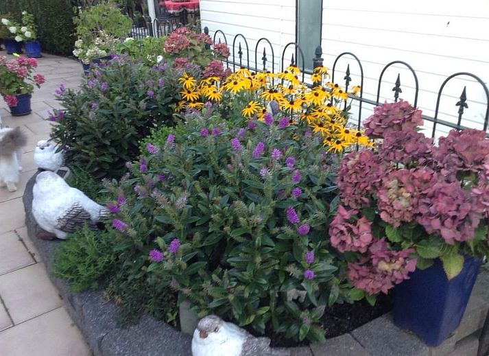 Verblijf 460142 - Vakantiewoning IJsselmeerkust - Vakantiehuis direkt am See