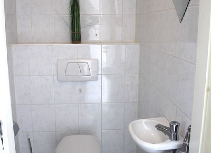 Gemuetliche Veranda im Ferienhaus Visvriend in Wervershoof, IJsselmeerkueste, Nordholland, umgeben von gruener Natur.