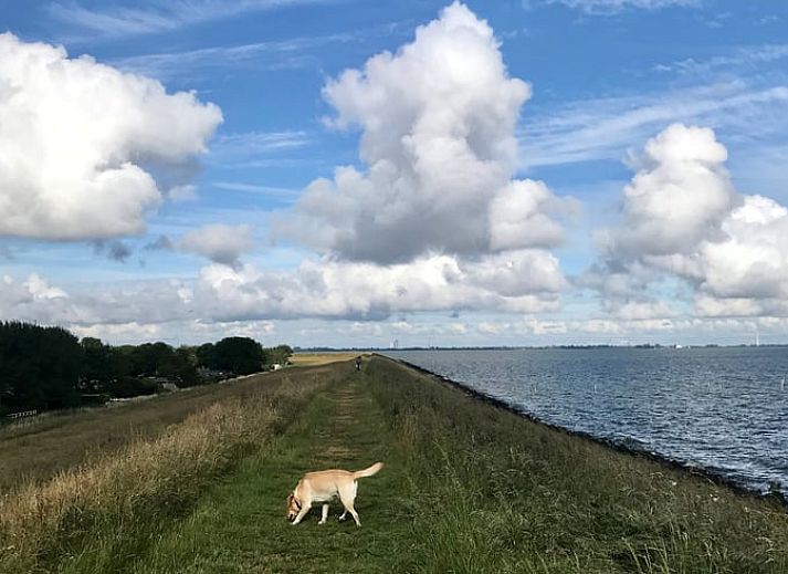 Unterkunft 460218 - Ferienhaus IJsselmeerkust - Vakantiehuis in Andijk