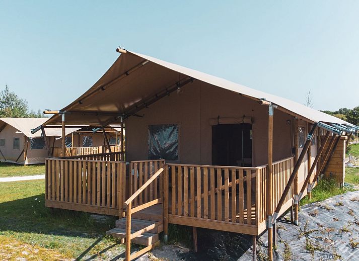 Verblijf 460219 - Tenthuis IJsselmeerkust - Safarilodge Gazelle