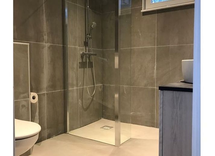 Green surroundings of Holiday home in Andijk, surrounded by nature on the IJsselmeer coast.