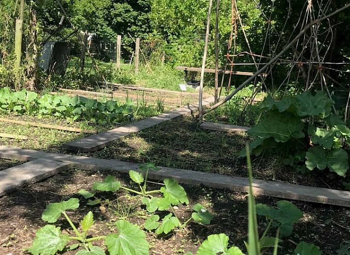 Bright entrance to Holiday Home in Andijk, an inviting start to your stay in North Holland.