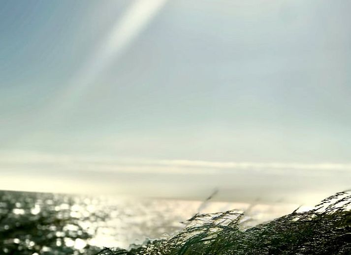 Cozy indoor area in Holiday Home in Andijk with comfortable seating area, ideal for relaxation.