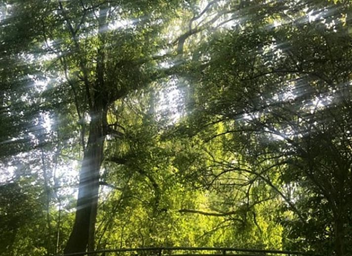 Modern living room in Holiday Home in Andijk overlooking the garden, perfect for a quiet stay.