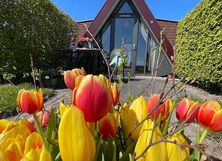 Geniessen Sie die Sonne auf der Terrasse von Huisje in Andijk, einem Ferienhaus an der IJsselmeerkueste in Nordholland.