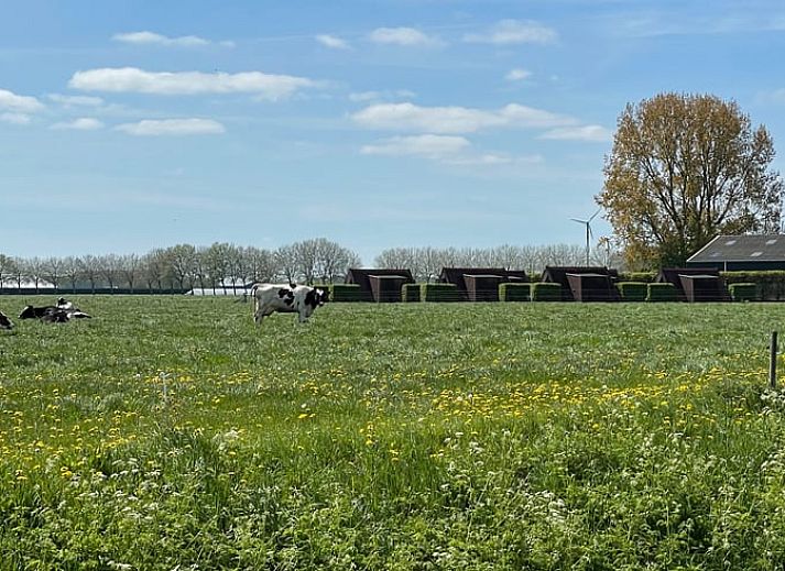 Entspannen Sie sich mit Blick auf den Garten von der Innenseite des Huisje in Andijk, Ferienhaus an der IJsselmeerkueste.