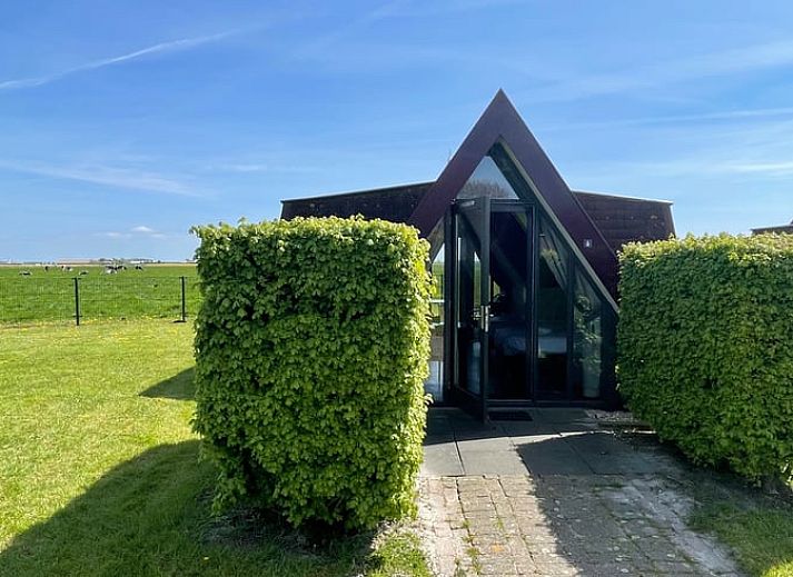 Natuerliche Umgebung mit Kuehen bei Huisje in Andijk, Ferienhaus in Andijk, Nordholland.