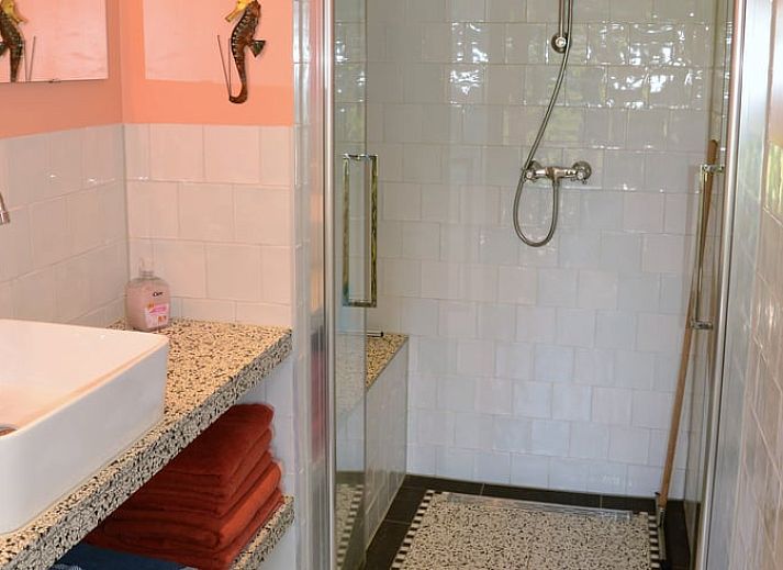 Terras met picknicktafel bij Vakantiehuis in Andijk, ideaal voor buiten dineren, gelegen aan de IJsselmeerkust in Noord-Holland.