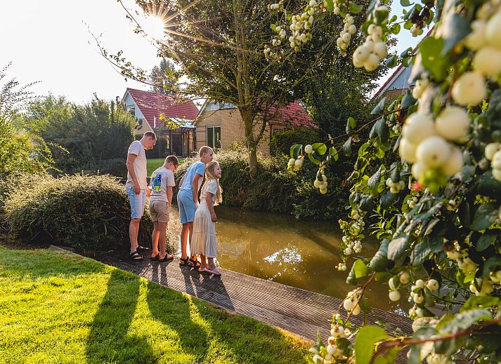 Unterkunft 460232 - Ferienhaus IJsselmeerkust - Villavakantiepark IJsselhof 6
