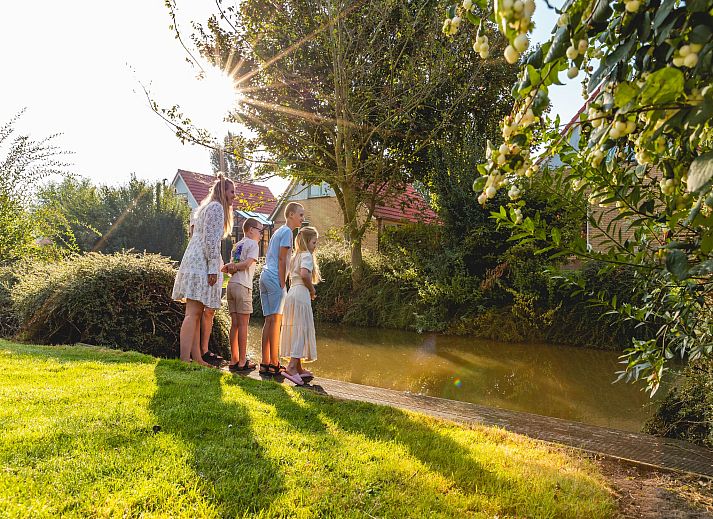 Unterkunft 460237 - Ferienhaus IJsselmeerkust - Villavakantiepark IJsselhof 1