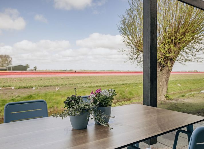 Geniessen Sie das helle Interieur von Lodge 4C in Wijdenes, einem Ferienhaus an der IJsselmeerkueste mit Blick auf die nordhollaendische Landschaft.