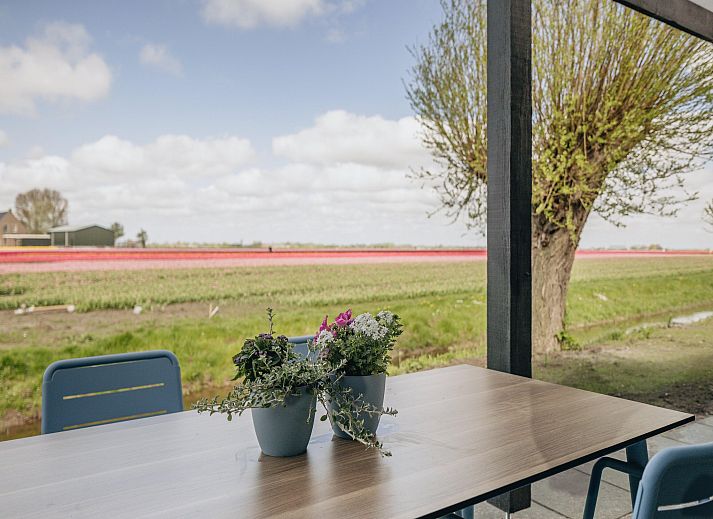Guest house 460520 - Bungalow IJsselmeerkust - Park Wijdenes 4