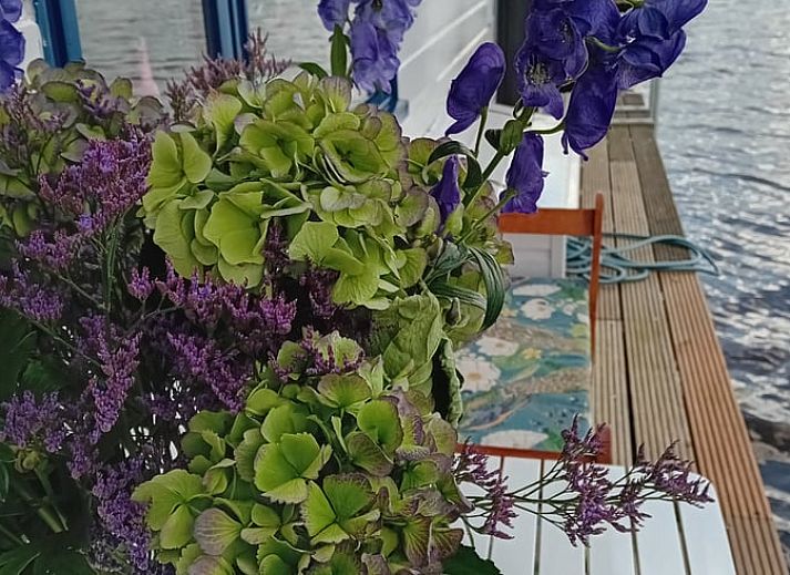 Unterkunft 460603 - Ferienhaus IJsselmeerkust - Vakantiehuisje in Muiden