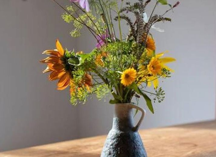 Gemuetliches Wohnzimmer des Ferienhauses in Hem, IJsselmeerkueste mit Holzbalken und orangefarbenen Akzenten.