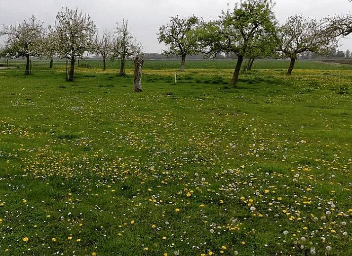 Gemuetliches Wohnzimmer des Ferienhauses in Hem, IJsselmeerkueste mit Holzbalken und orangefarbenen Akzenten.