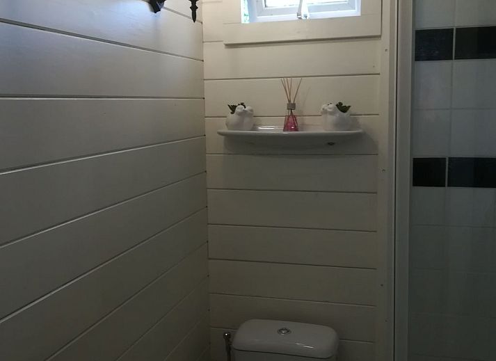 Unterkunft 460703 - Ferienhaus IJsselmeerkust - Vakantiehuis Ferienchalet "Uylennest"