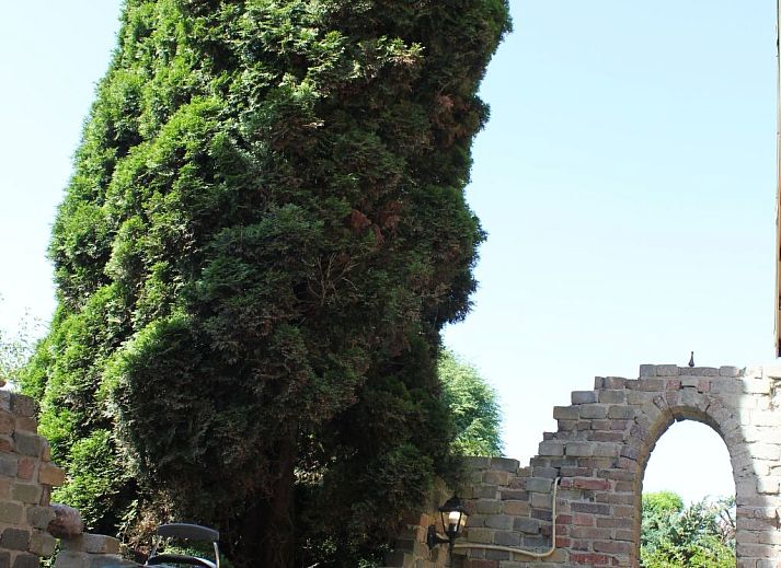 Unterkunft 460703 - Ferienhaus IJsselmeerkust - Vakantiehuis Ferienchalet "Uylennest"