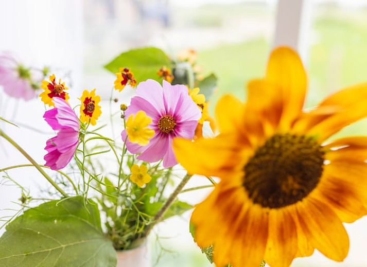 Comfortabel bed in Huisje in Hem, vakantiehuis in Hem, Noord-Holland met zachte kussens en sfeervolle verlichting.