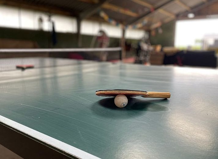 Stijlvolle badkamer in Huisje in Hem, vakantiehuis in Hem, Noord-Holland met moderne wastafel en spiegel.
