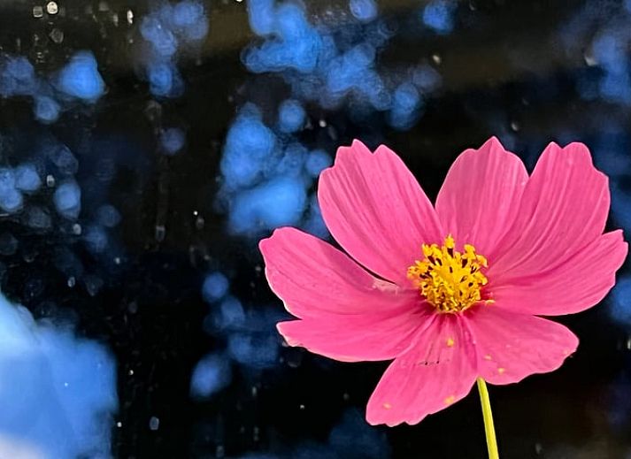 Moderne binnenruimte van Vakantiehuis in Monnickendam met uitzicht op groene velden in Noord-Holland.