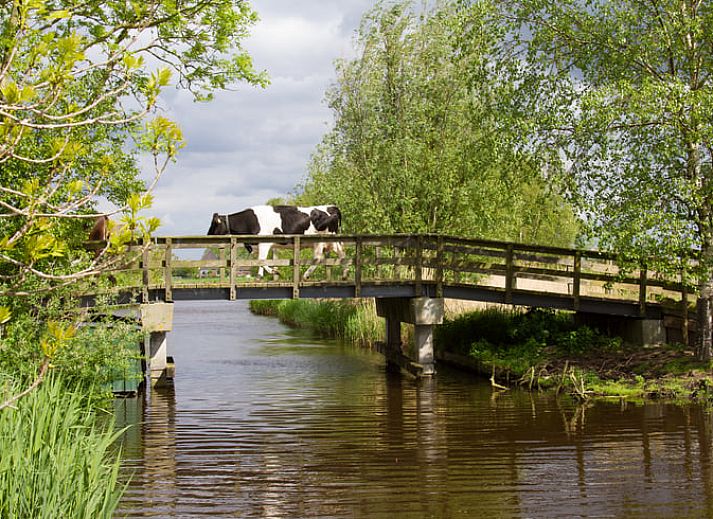 Unterkunft 461016 - Ferienhaus IJsselmeerkust - Vakantiehuisje in Monnickendam