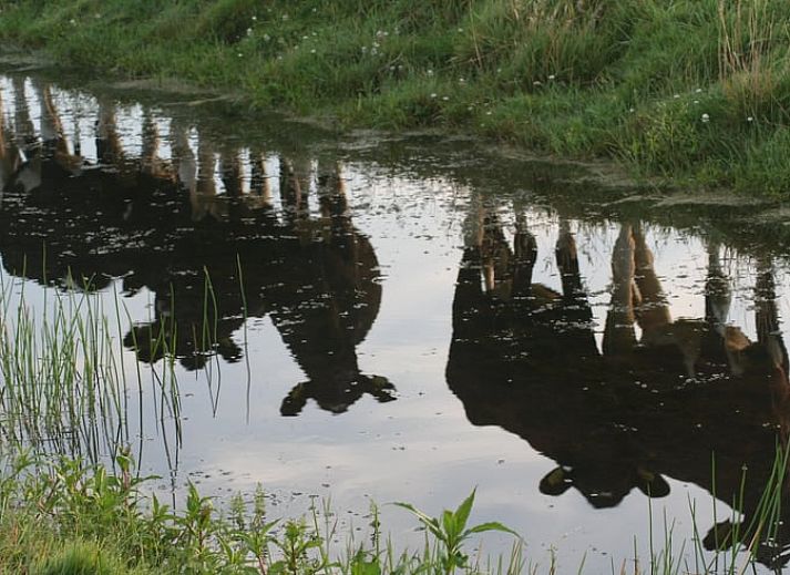 Unterkunft 461016 - Ferienhaus IJsselmeerkust - Vakantiehuisje in Monnickendam
