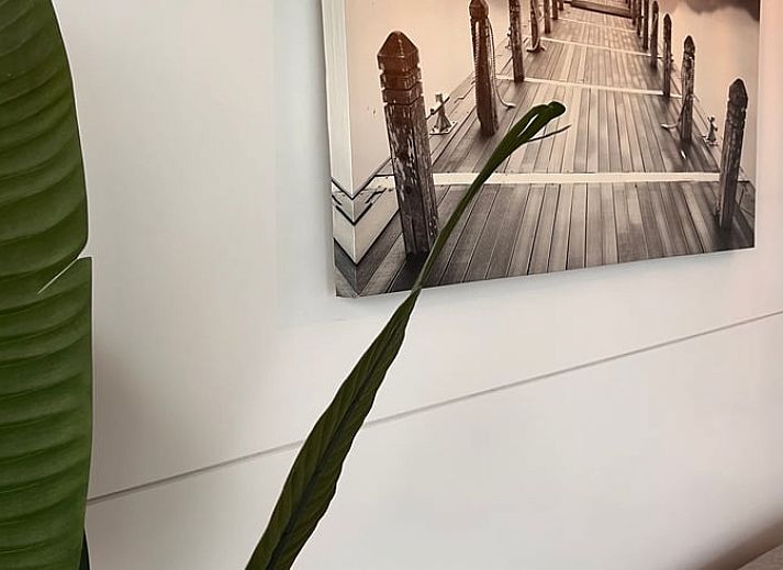 Blick von der Terrasse des Ferienhauses in Monnickendam, das an der ruhigen IJsselmeerkueste liegt.