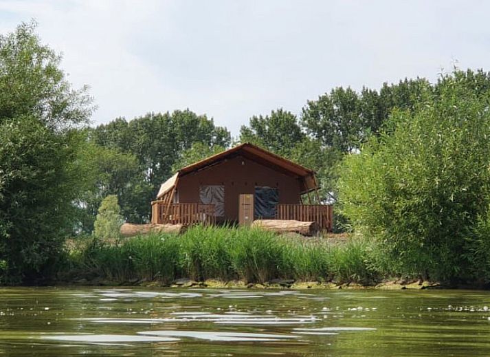 Guest house 461204 • Holiday property IJsselmeerkust • Vakantiehuis Lodgetent 5
