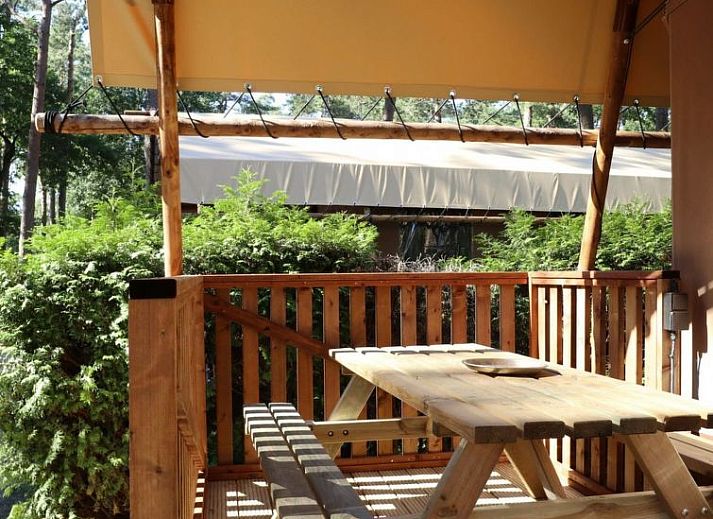 Unterkunft 461204 - Ferienhaus IJsselmeerkust - Vakantiehuis Lodgetent 5