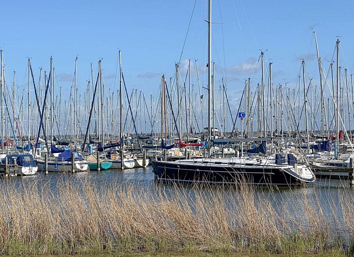Unterkunft 4612135 - Ferienhaus IJsselmeerkust - Grote Weeshuis