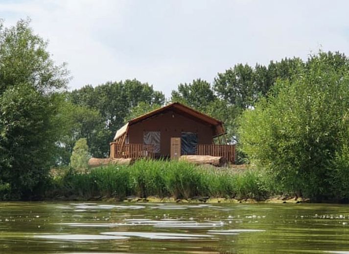 Unterkunft 461238 • Zelthaus IJsselmeerkust • Lodgetent 