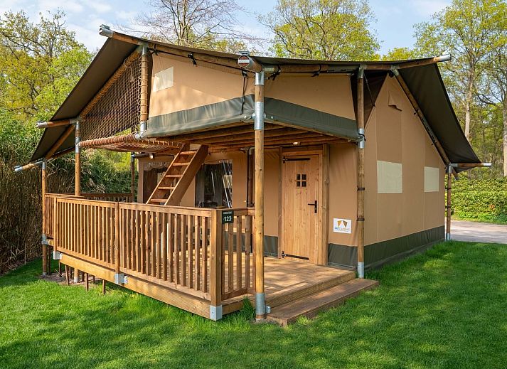6-8-persoons safaritent 6-8ST in Huizen, Noord-Holland, met houten veranda omgeven door natuur.