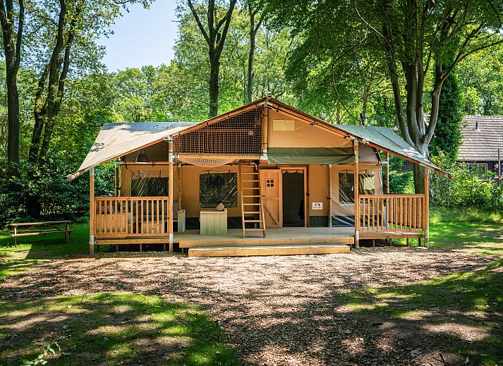 Unterkunft 461610 - Ferienhaus IJsselmeerkust - 6-8-persoons safaritent | 6-8ST