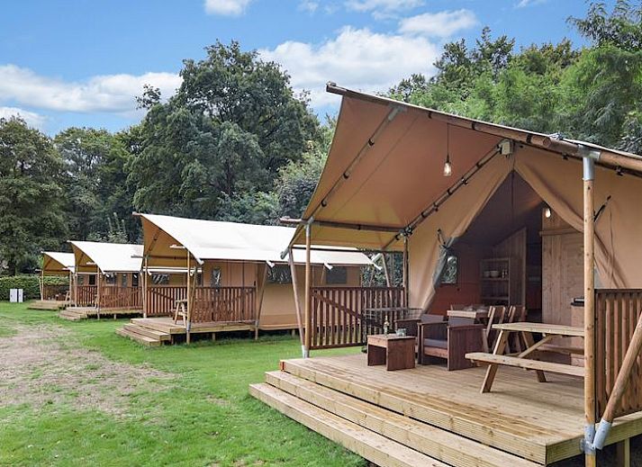 Guest house 461614 • Holiday property IJsselmeerkust • 2-4-persoons safaritent | 2-4S1