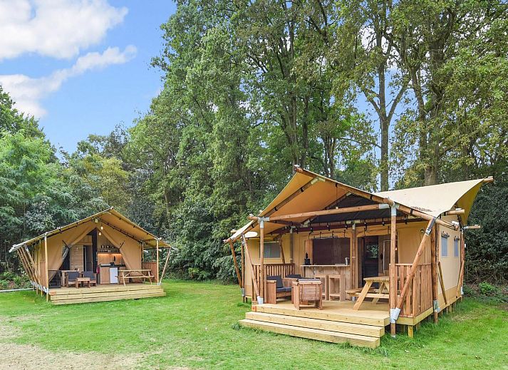 4-6-bed safari tent 4-6S1 in Huizen, North Holland, with green surroundings and spacious veranda.